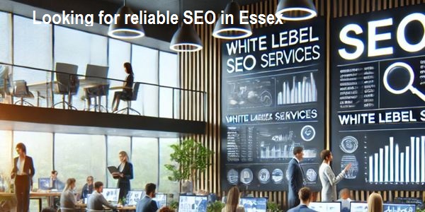 Website Design in Essex