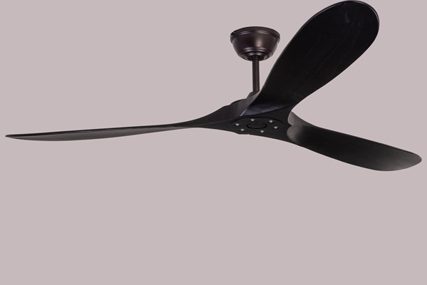 Premium Designer Ceiling Fans for Home