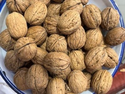 Premium Walnuts Supplier – Trusted Quality from Apex Star Trading