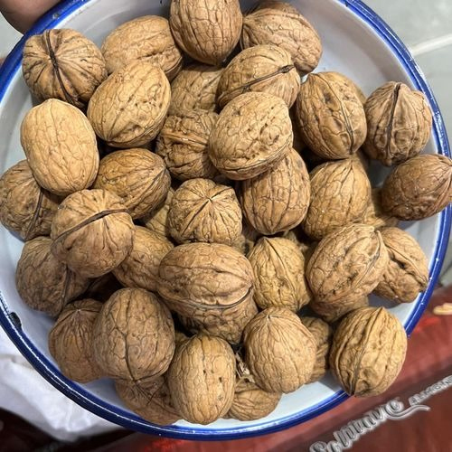 Premium Walnuts Supplier – Trusted Quality from Apex Star Trading