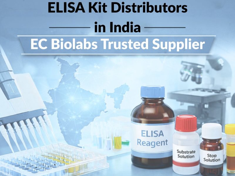 ELISA Kit Distributors in India | EC Biolabs Trusted Supplier