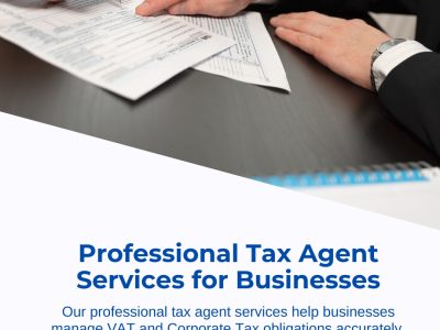 Professional Tax agent services for business
