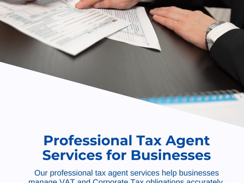 Professional Tax agent services for business