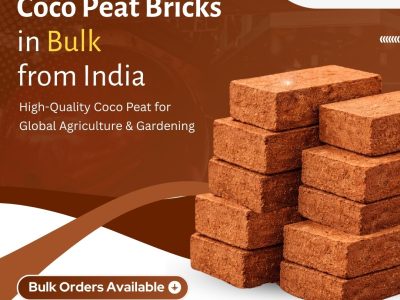 Export Quality Coco Peat Bricks