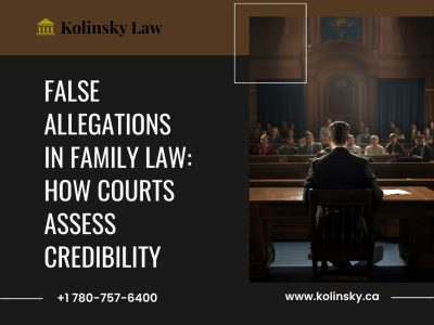 False Allegations in Family Law: How Courts Assess Credibility