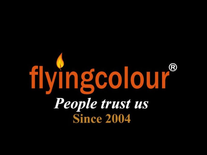 Flyingcolour Business Setup