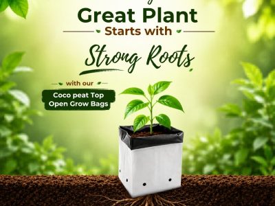 Great-Plant-Starts-with-Strong-Roots