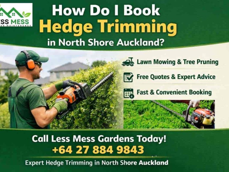 Professional Hedge Trimming North Shore Auckland