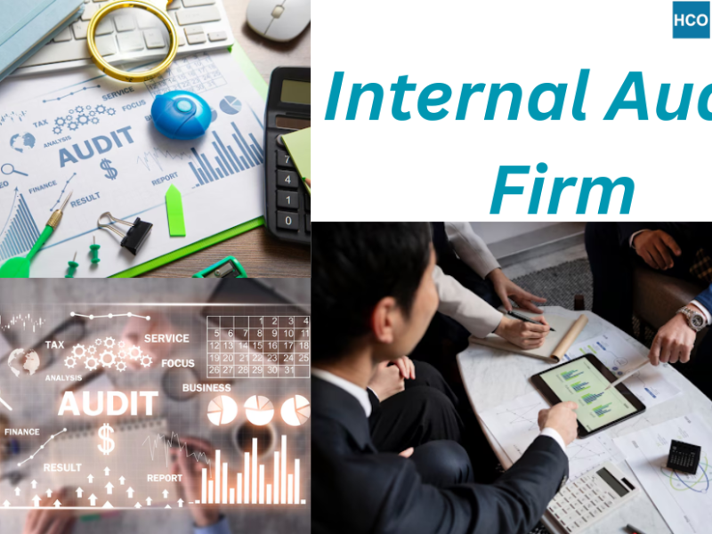 How an Internal Audit Firm Supports Business Growth