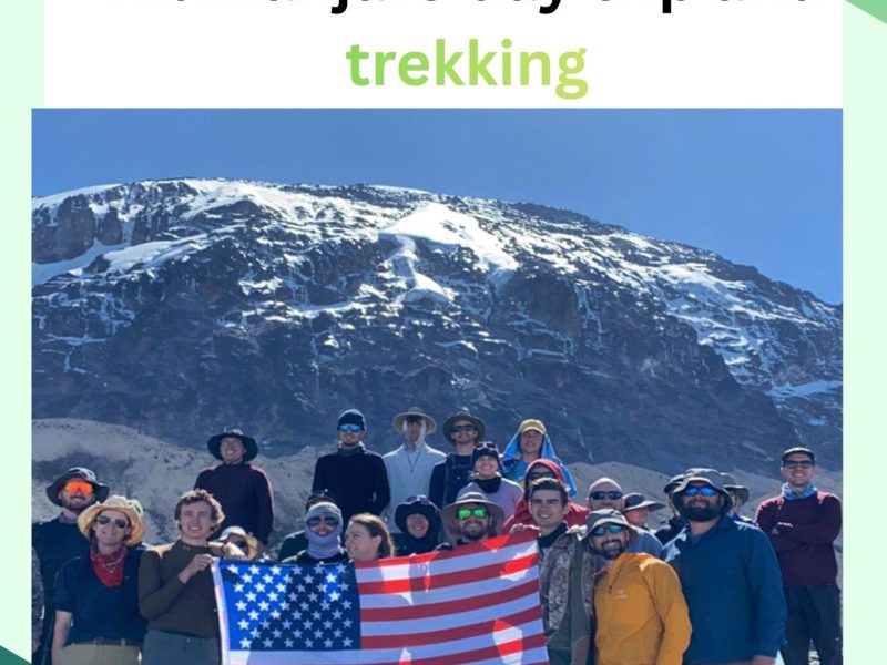Kilimanjaro Day Trip and Trekking Packages