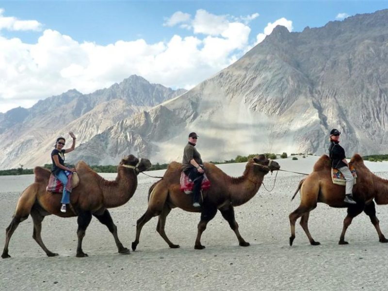 Leh Ladakh Family Tour Packages | Affordable Ladakh Travel Deals