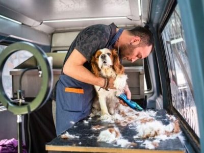 Convenient Pet Care at Your Doorstep