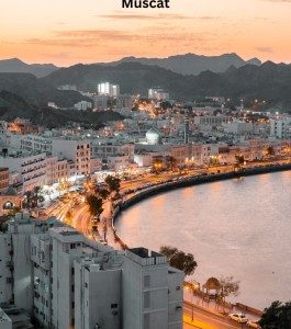 Top Mobile app development company in Muscat