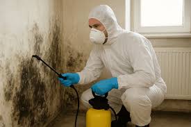 Mold Remediation NJ – Professional & Affordable Mold Removal Services