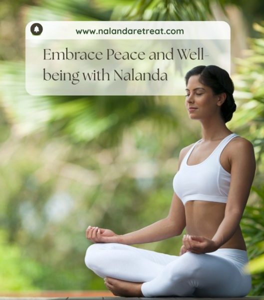 Yoga & Meditation Retreat in Goa | Nalanda Retreat