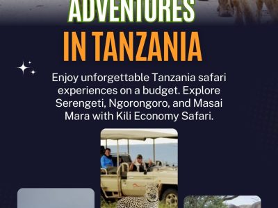 Affordable Safari Adventures in Tanzania 🦁🌍
