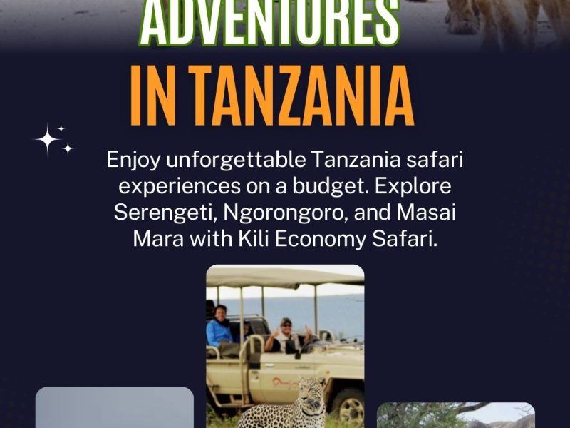 Affordable Safari Adventures in Tanzania 🦁🌍