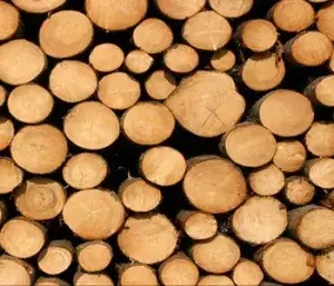 🔥 Best Firewood for Wood Stoves – Premium Quality Available!