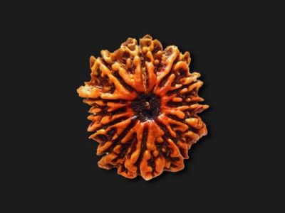 Buy 7 Mukhi Rudraksha Online | Genuine & Lab Certified