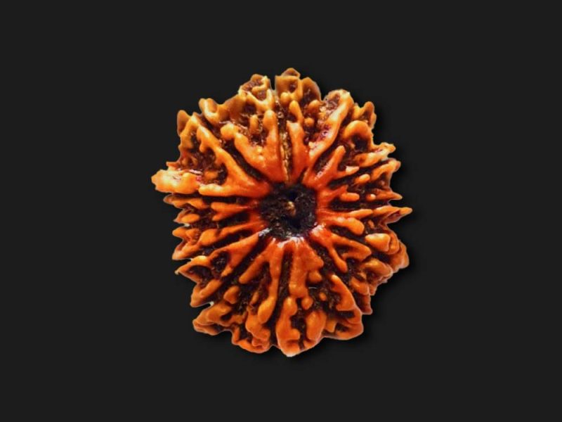 Benefits of 5 Mukhi Rudraksha for Health, Peace and Success