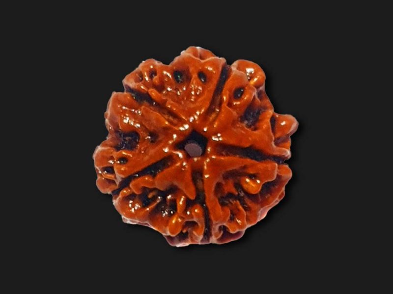 Benefits of 5 Mukhi Rudraksha for Health, Peace and Success
