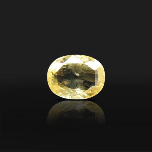 The Magical One Mukhi Rudraksha