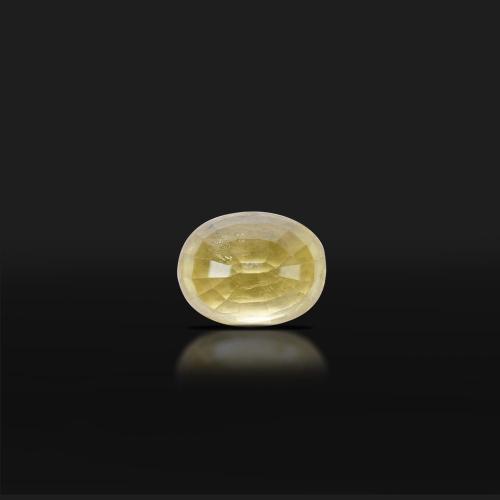 The Magical One Mukhi Rudraksha