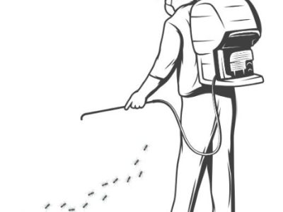 Enviro Safe Pest Control