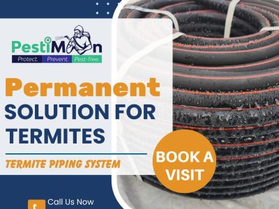 Termite Pest Control | PestiMan