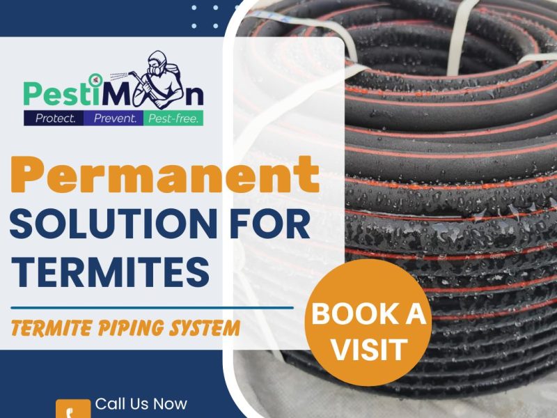 Termite Pest Control | PestiMan