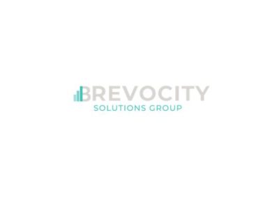 Strategic Technology Consulting and Outsourcing Services