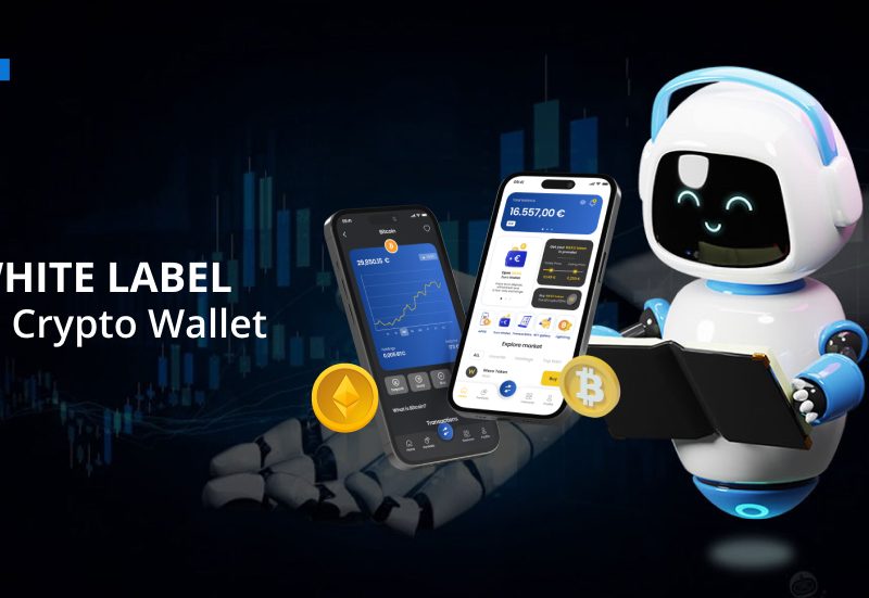 Harness the power of Antier’s streamlined white-label AI crypto wallet development services