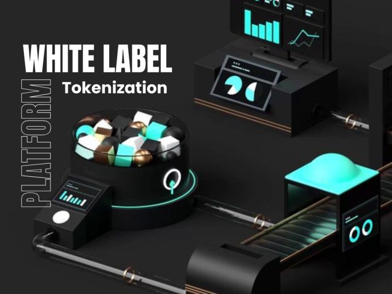 Want to Tokenize Assets Without Building Tech?