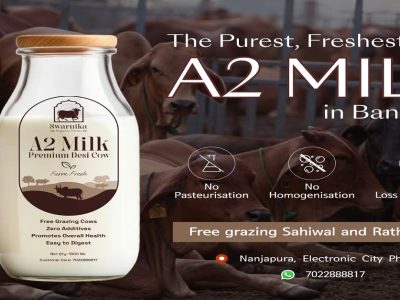 Healthy cow milk delivery in Bangalore