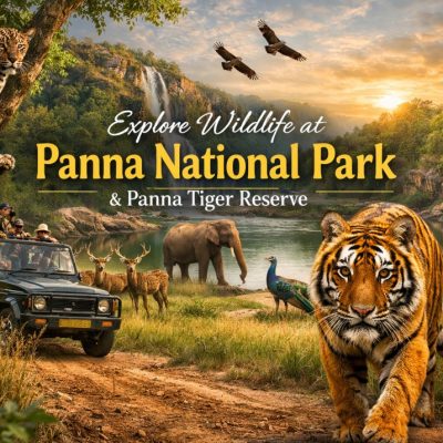 Panna National Park