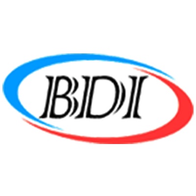 Bdigt llc