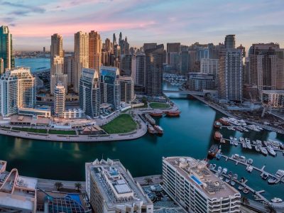 Expert Market Navigation Services