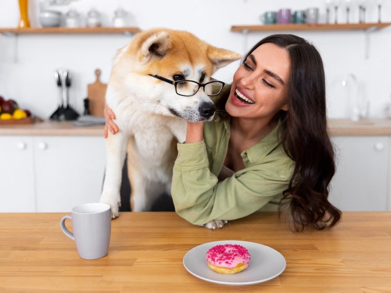 Better accessories. Healthier treats. Happier dogs.