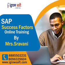 SAP Success Factors training and placement Assistance | Igrowsoft