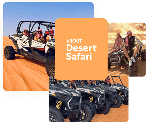 TripaTour: Your Trusted Travel Agency in Dubai