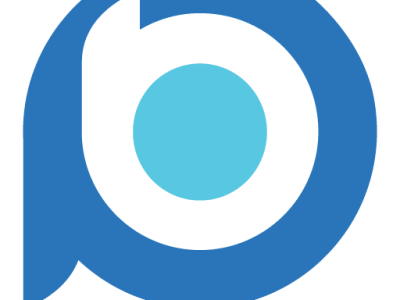 Website Development & SEO Services in Jaipur | Pinblooms