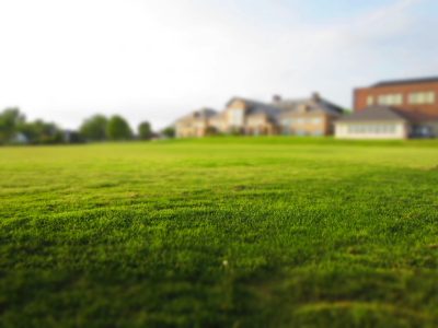 Sod Laying & Spring Lawn Cleanup Calgary Experts