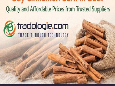 Buy Cinnamon Bark in Bulk – Quality and Affordable Prices from Trusted Suppliers