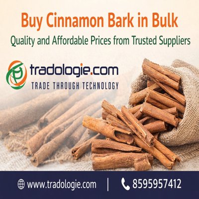 Buy Cinnamon Bark in Bulk – Quality and Affordable Prices from Trusted Suppliers