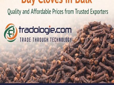 Buy Cloves in Bulk – Quality and Affordable Prices from Trusted Exporters