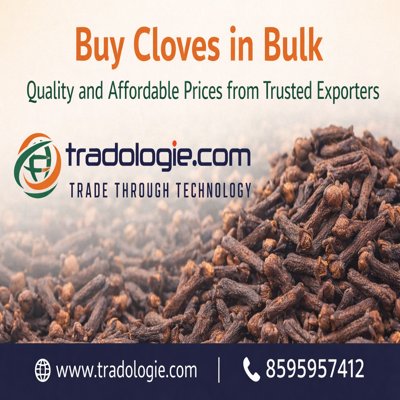 Buy Cloves in Bulk – Quality and Affordable Prices from Trusted Exporters