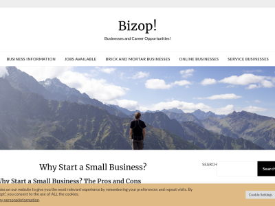 Bizop Businesses and Career Opportunities | Start & Grow Your Success