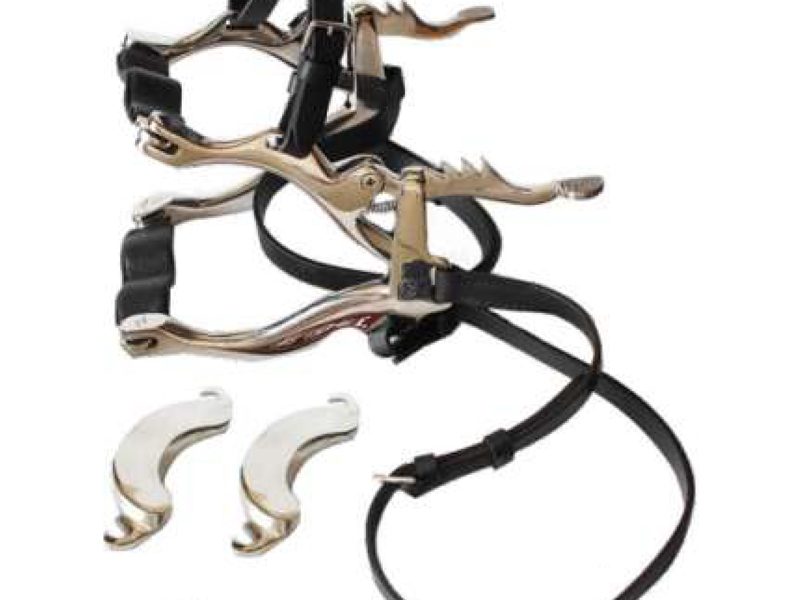 Equine Dentistry Tools
