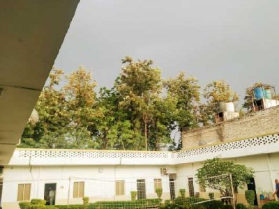 Quality Care at Rama Rehab Rehabilitation Centre in Delhi