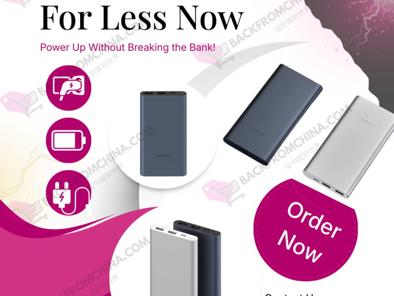 High-Capacity Power Banks – Portable Charging Solutions – BackFromChina